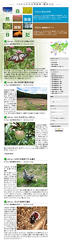 その他サイト