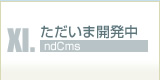 開発中